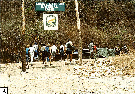 Survey Team at Gombe Stream NP