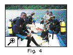 Dive Teams